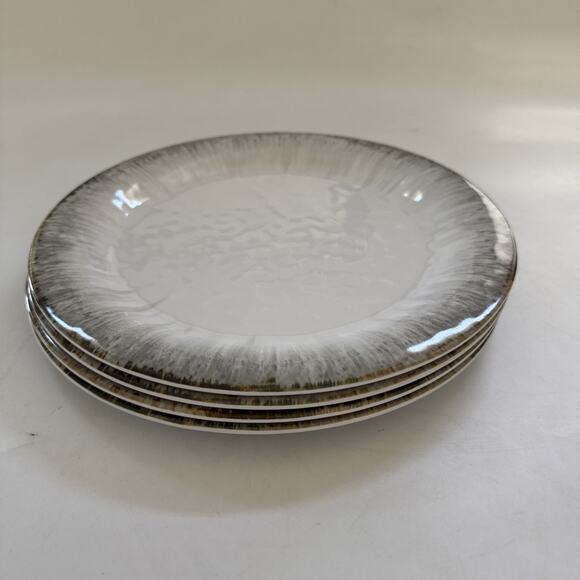 Tommy Bahama Melamine Dinner Plates 10.5" Oyster Edge Finish Set of 4 Beachy - Picture 1 of 7